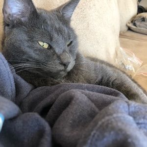 Meet your Posher, Makali